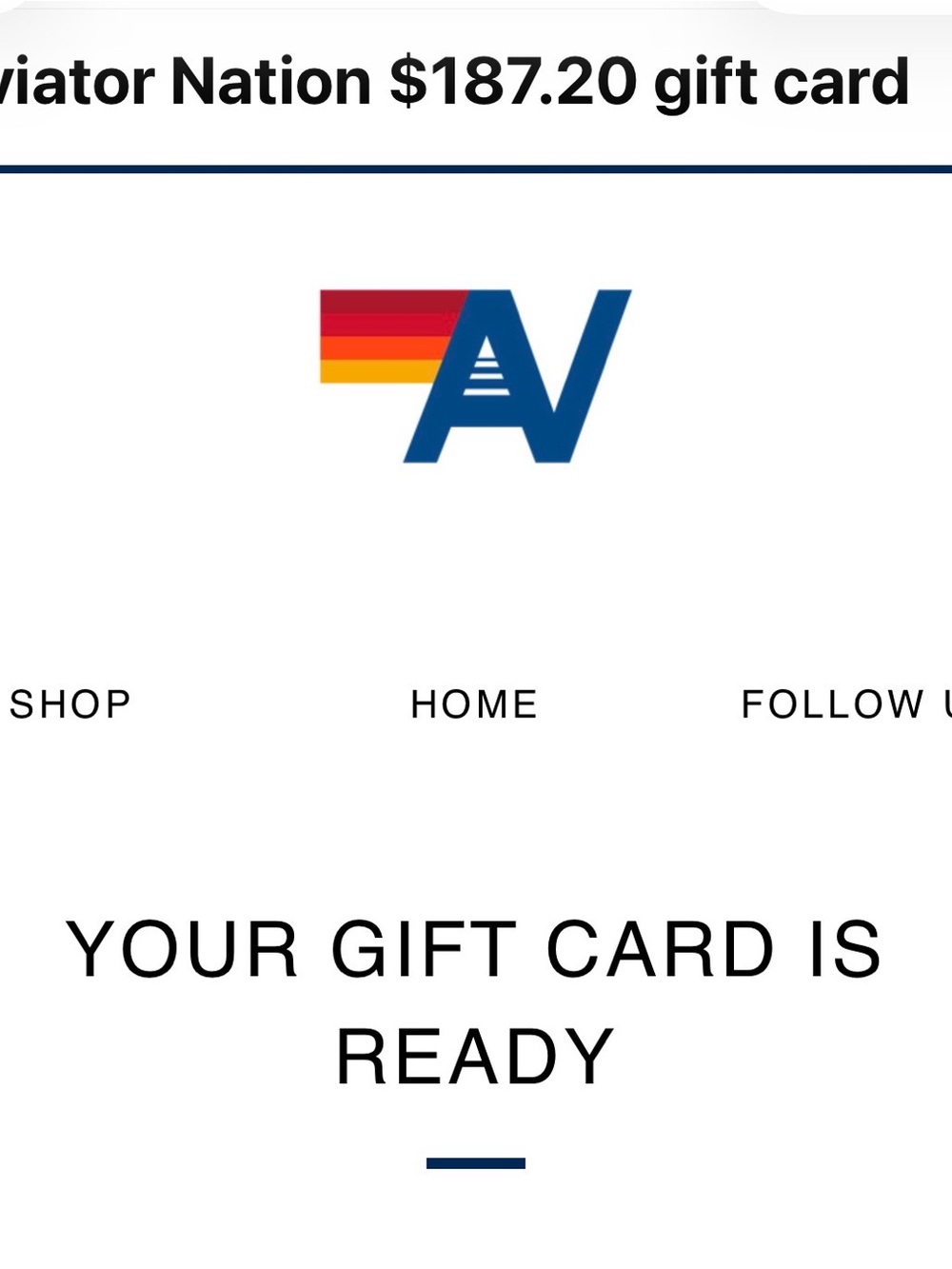 Aviator Nation e credit for $187.20